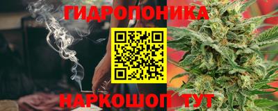 стафф Нальчик