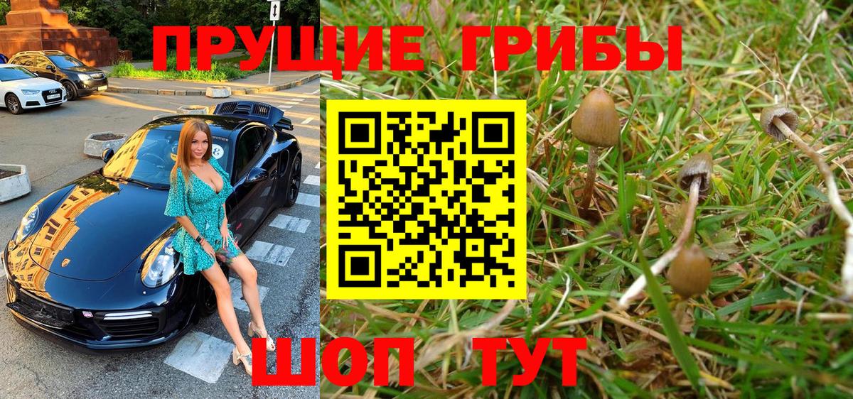 Галлюциногенные грибы Psilocybe  Вход с VPN  Свободный 
